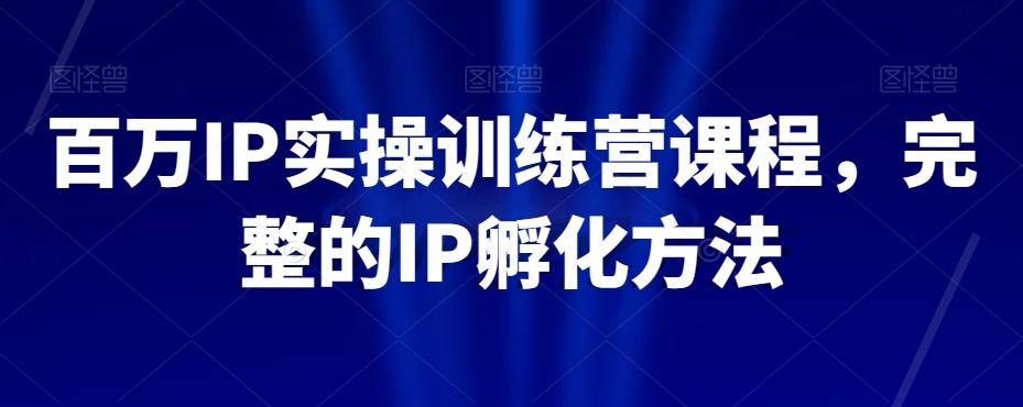 百万IP实操训练营课程，完整的IP孵化方法-资源宝库