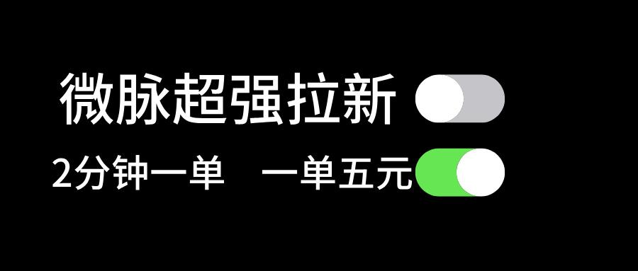 微脉超强拉新， 两分钟1单， 一单利润5块，适合小白-资源宝库
