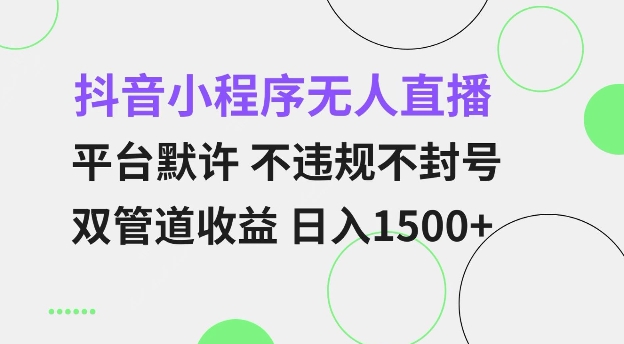 抖音小程序无人直播 平台默许 不违规不封号 双管道收益 日入多张 小白也能轻松操作【仅揭秘】-资源宝库
