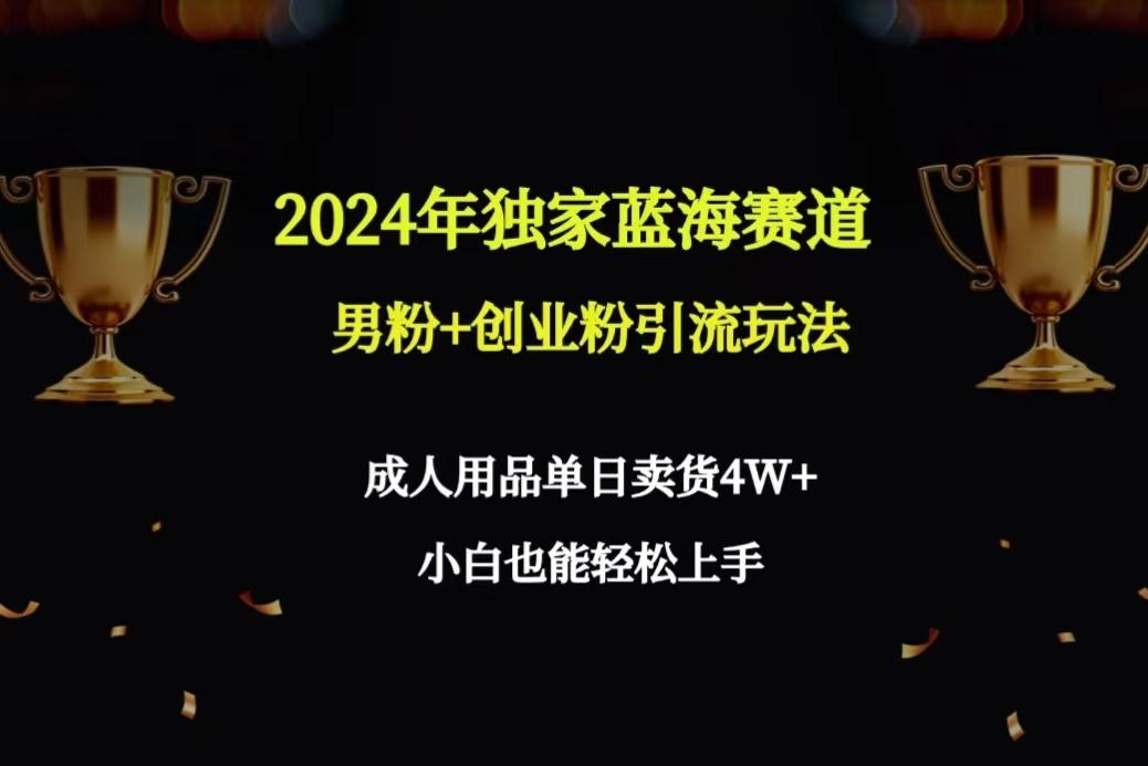 2024年独家蓝海赛道男粉+创业粉引流玩法，成人用品单日卖货4W+保姆教程-资源宝库