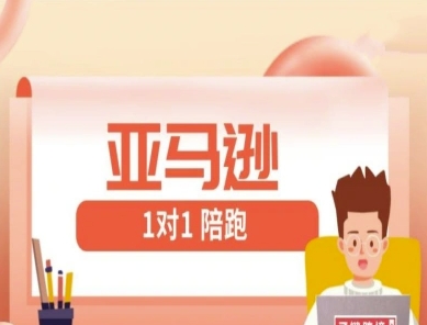 亚马逊1对1陪跑课(FBA/FBM精铺)跨境亚马逊教程-资源宝库