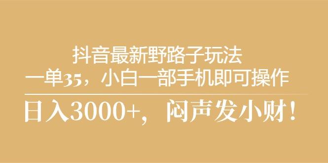 抖音最新野路子玩法，一单35，小白一部手机即可操作，，日入3000+，闷...-资源宝库