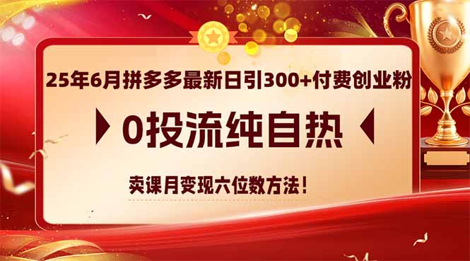 25年6月拼多多最新日引300+付费创业粉，0投流纯自热 卖课月变现六位数方法-资源宝库