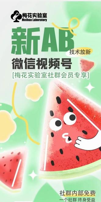梅花实验室2024年AB技术视频号AB合成破解版-资源宝库