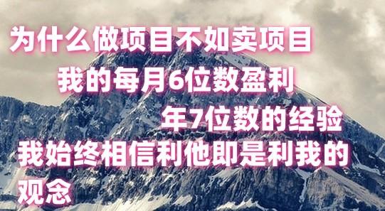 做项目不如卖项目，每月6位数盈利，年7位数经验-资源宝库