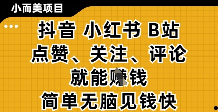 小而美的项目，抖音小红书B站视频点赞、关注、评论就能挣钱，简单无脑立见收益，妥妥的零撸项目【揭秘】-资源宝库