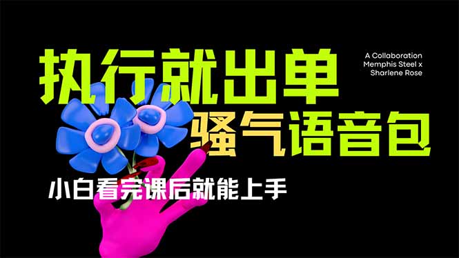 爆火全网的开车导航骚气语音包,只要执行就出单,小白看完课程就能实操…-资源宝库