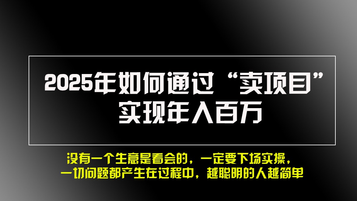 2025年如何通过“卖项目”实现年入百万-资源宝库
