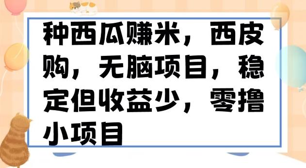 种西瓜赚米，西皮购稳定长久零撸小项目-资源宝库