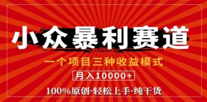 视频号最新爆火赛道，三种可收益模式，0粉新号条条原创条条热门 日入1000+-资源宝库