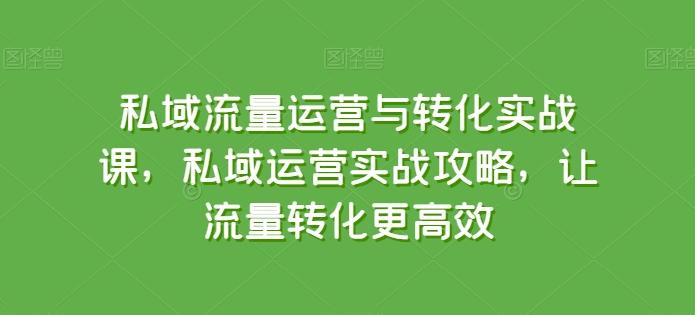 私域流量运营与转化实战课，私域运营实战攻略，让流量转化更高效-资源宝库