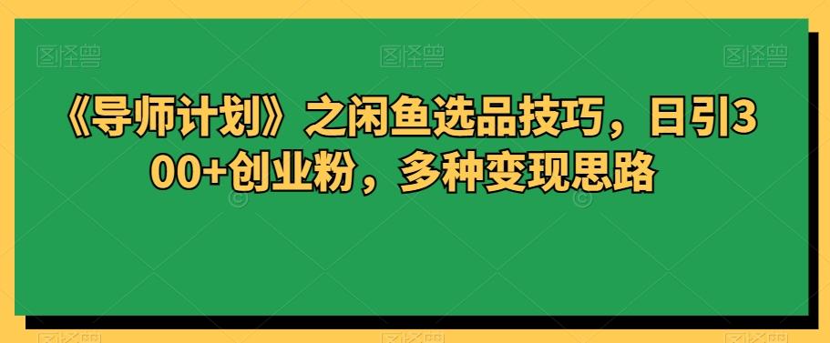 《导师计划》之闲鱼选品技巧，日引300+创业粉，多种变现思路-资源宝库