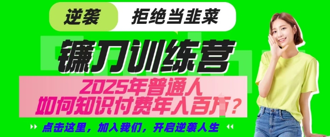 【网创项目终点站-镰刀训练营超级IP合伙人】25年普通人如何通过知识付费实现逆袭【揭秘】-资源宝库