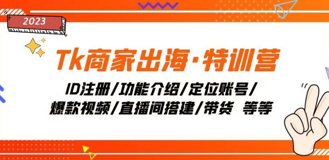 Tk商家出海·特训营：ID注册/功能介绍/定位账号/爆款视频/直播间搭建/带货-资源宝库
