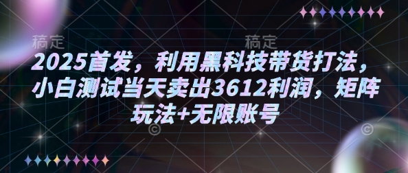 2025首发,利用黑科技带货打法,小白测试当天卖出3612利润,矩阵玩法+无限账号【揭秘】-资源宝库