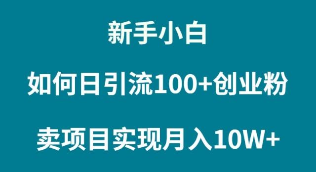 (9556期)新手小白如何通过卖项目实现月入10W+-资源宝库