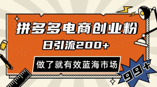拼多多引流电商创业粉,日引200+,可矩阵放大,做了就有效【揭秘】-资源宝库