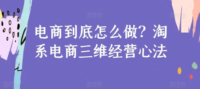 电商到底怎么做？淘系电商三维经营心法-资源宝库