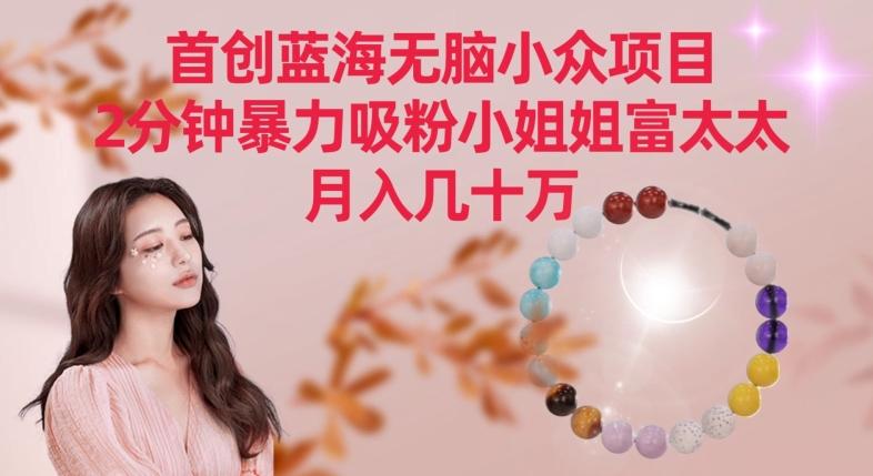 首创蓝海无脑小众项目，2分钟暴力吸粉小姐姐富太太，月入几十万【揭秘】-资源宝库