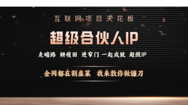 互联网项目天花板,超级合伙人IP,全网都在割韭菜,我来教你做镰刀【仅揭秘】-资源宝库