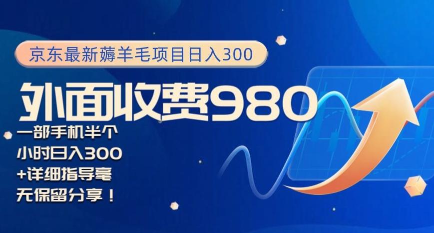 京东最新薅羊毛项目小白怎么做到日入300+一部手机半小时搞定-资源宝库