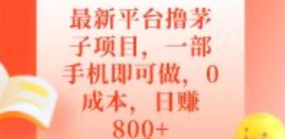 最新平台撸茅子项目，一部手机即可做，0成本，日赚800+-资源宝库