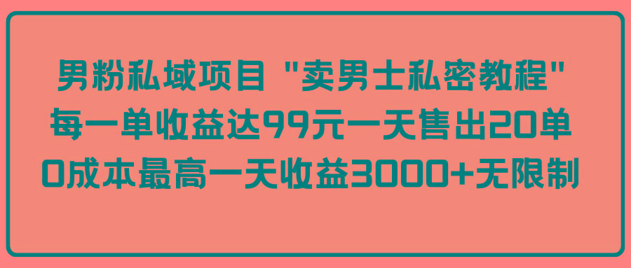 (9730期)男粉私域项目 “卖男士私密教程” 每一单收益达99元一天售出20单-资源宝库