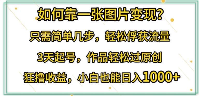 如何靠一张图片变现?只需简单几步，轻松俘获流量，3天起号，作品轻松过原创【揭秘】-资源宝库