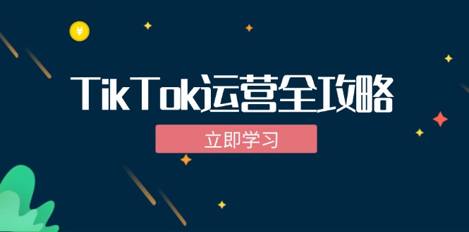 TikTok实战运营全攻略：从下载软件到变现，抖音海外版实操教程-资源宝库