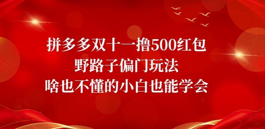 拼多多双十一撸500红包野路子偏门玩法，啥也不懂的小白也能学会【揭秘】-资源宝库