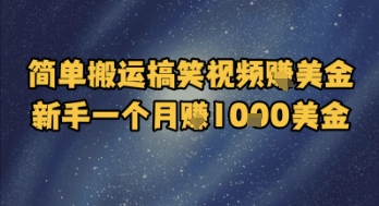 简单搬运搞笑视频挣美金，新手一个月入1k美金-资源宝库