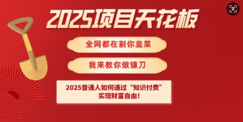 2025项目天花板普通人如何通过知识付费，实现财F自由【揭秘】-资源宝库