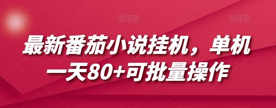 最新番茄小说挂机，单机一天80+可批量操作【揭秘】-资源宝库