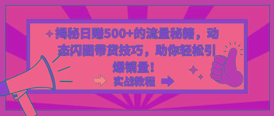 揭秘日赚500+的流量秘籍，动态闪图带货技巧，助你轻松引爆销量！-资源宝库