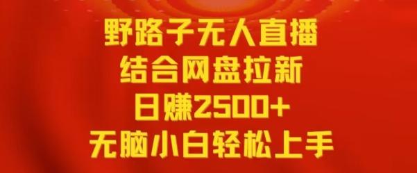 野路子无人直播结合网盘拉新，日赚2500+，小白无脑轻松上手【揭秘】-资源宝库
